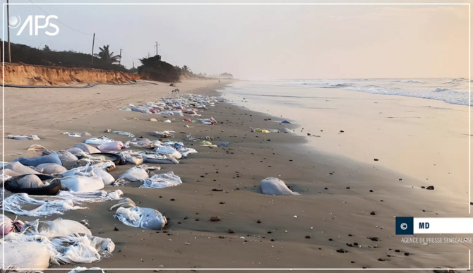 Son quai de pêche endommagé par des vagues: Kafountine sonne l’alarme face à l’avancée de la mer