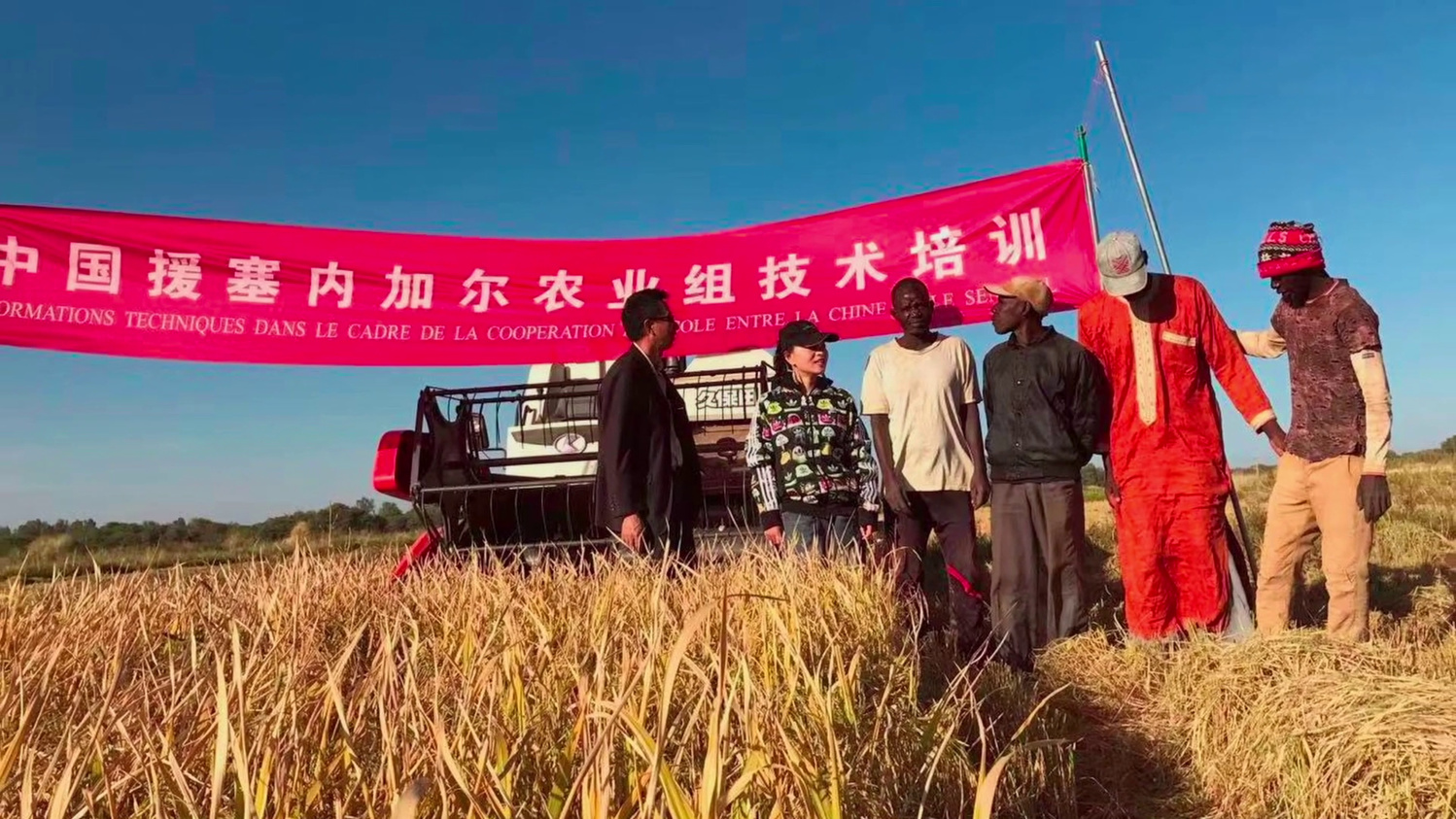 La Mission agricole chinoise transforme le paysage agricole à Sangalkam