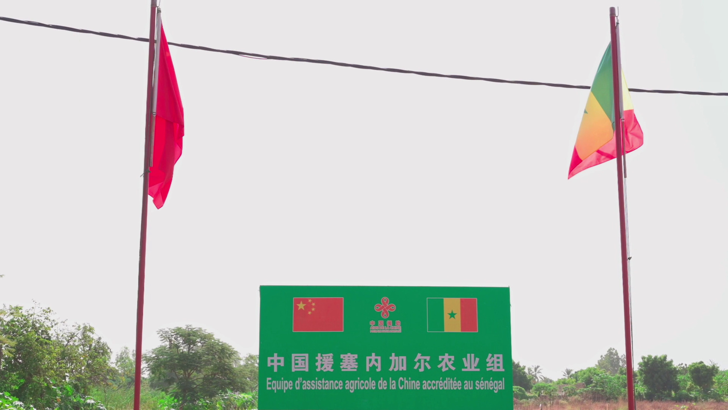 La Mission agricole chinoise transforme le paysage agricole à Sangalkam