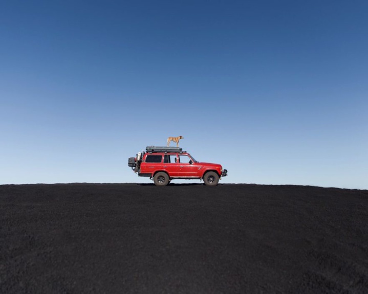 Ce photographe réalise un fabuleux projet avec son chien à travers les Etats-Unis...