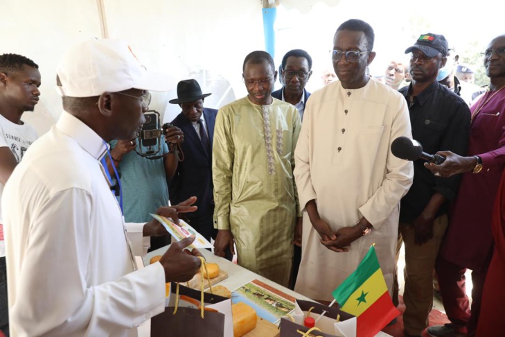 Photos/ Élevage: Amadou Ba, Premier Ministre lors de la réception des 1300 génisses gestantes à haut potentiel de laitier