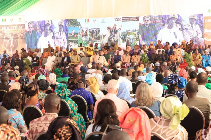 Photos/ Élevage: Amadou Ba, Premier Ministre lors de la réception des 1300 génisses gestantes à haut potentiel de laitier