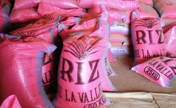 Le kilogramme du riz paddy fixé à 125 FCFA.