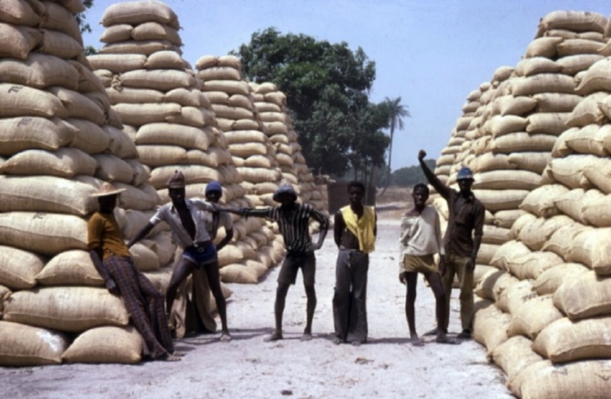 Ziguinchor / Campagne de commercialisation de l’arachide : Des opérateurs réclament 2 milliards FCfa à la Sonacos