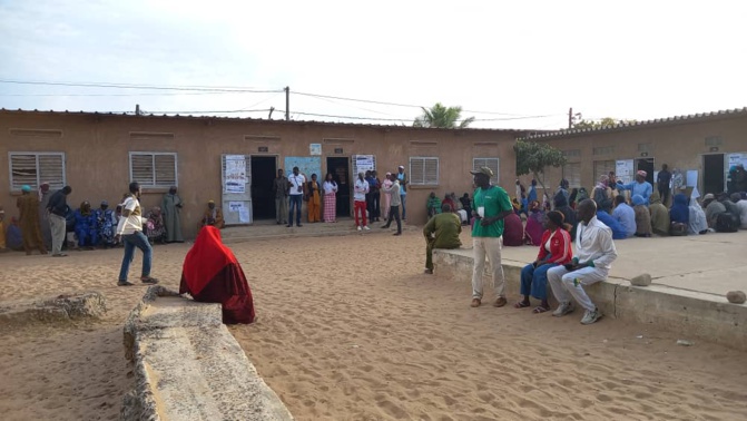 Présidentielle 2024 : Les Sénégalais à l'heure du choix, pour l'élection la plus ouverte de l'histoire