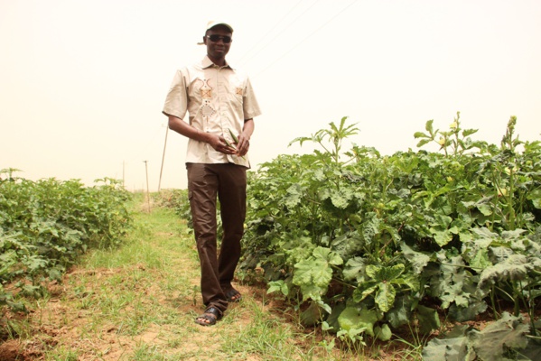 Autosuffisance alimentaire en 2017 : L’homme d’affaires Harona Dia invite l’Etat du Sénégal à s’inspirer du village de Wendu Bosséabé