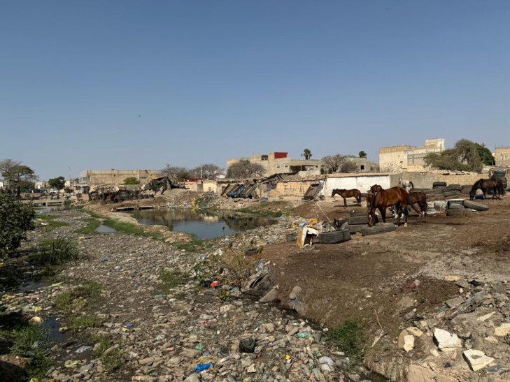 Rufisque: Le nouveau Préfet, Abdou Khadir Diop s'engage pour l'amélioration de l'environnement