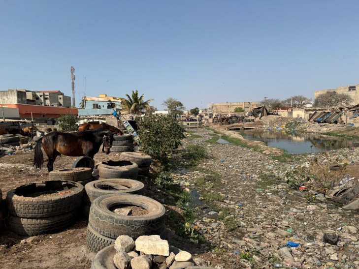 Rufisque: Le nouveau Préfet Abdou Khadir Diop s'engage pour l'amélioration de l'environnement