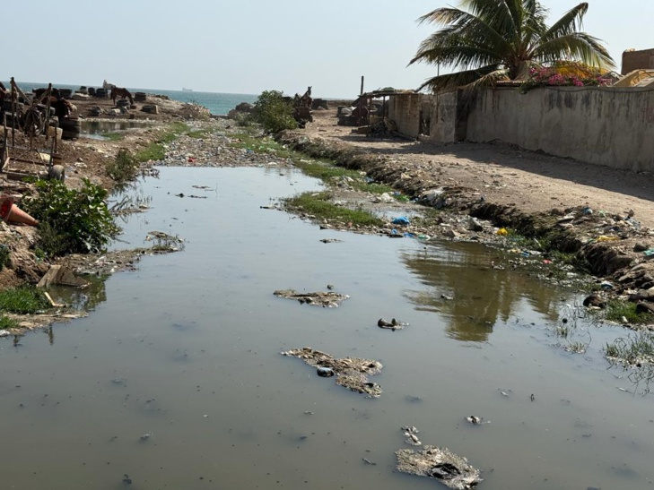 Rufisque: Le nouveau Préfet Abdou Khadir Diop s'engage pour l'amélioration de l'environnement