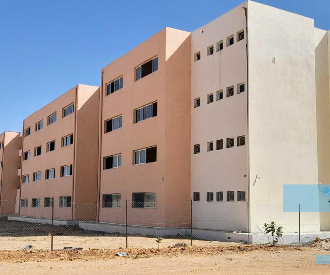 Vers la création d’un institut du pétrole et du gaz à l’université Cheikh Ahmadoul Khadim de Touba