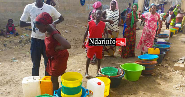 Misère à Pikine Diokoul : 3 mois sans eau, une marche de contestation en préparation