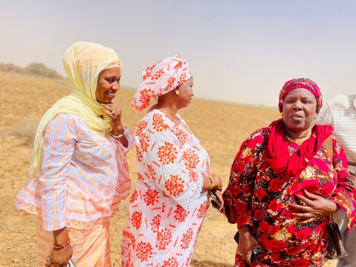 Photos+Video / Les terres du Walo de Kanel, une des solutions pour la souveraineté alimentaire