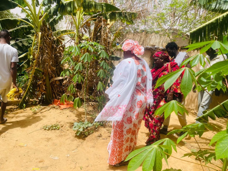 Photos+Video / Les terres du Walo de Kanel, une des solutions pour la souveraineté alimentaire