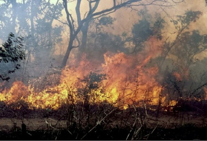 3 feux de brousse en 3 jours entre Kaffrine, Mbirkilane et Koungheul : L’imprudence des populations indexée