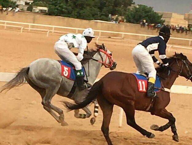 Mécène au secours de l’Hippisme sénégalais: Dr Oumar Bao offre des box de départ neufs !!!