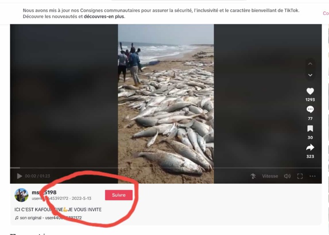 Fake News : Partage de vidéos pour démontrer l'efficacité de "l'annulation des accords de pêche", mais il y a anguille sous roche….