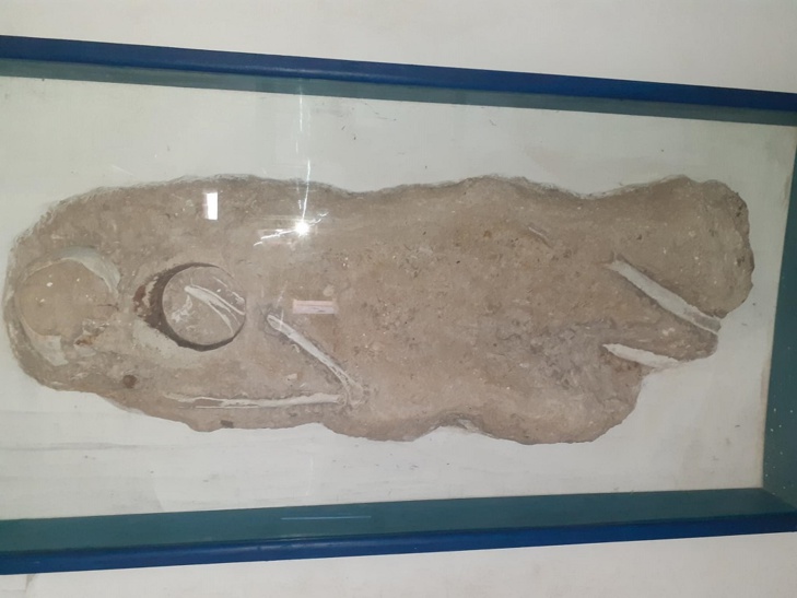 Découverte : Des squelettes de plus de 1000 ans à Dakar... Découverte : Des squelettes de plus de 1000 ans à Dakar...