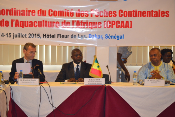 Patrick David, représentant de la Fao : « Les autorités africaines doivent donner une attention particulière à la pêche continentale... »  