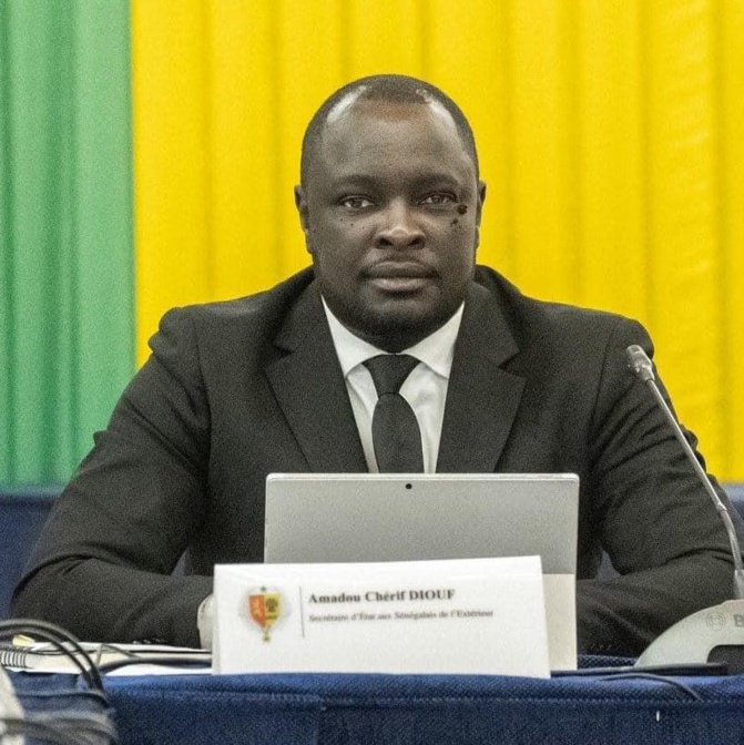 Le Secrétaire d'État des Sénégalais de l'Extérieur échoue lors de son baptême de feu en Espagne -Par Momar Dieng Diop