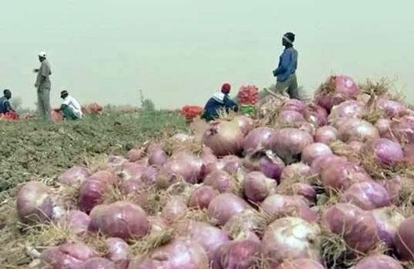 Oignons et pommes de terre : Le marché bien approvisionné, rassure l’ARM