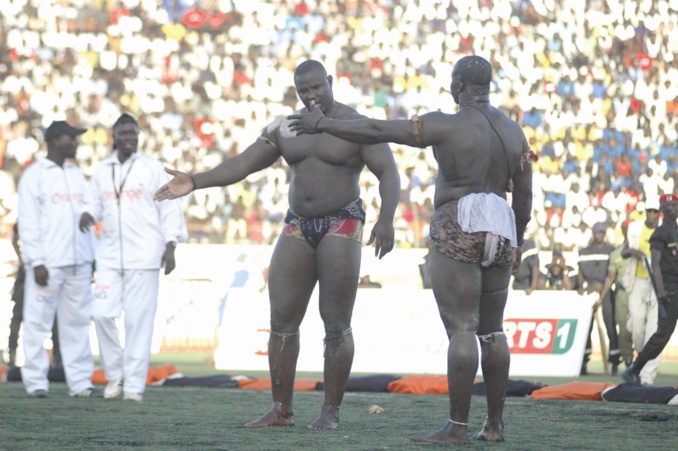 Bombardier : "Balla Gaye 2 à 65% de chance de battre Gris Bordeaux" - wiwsport Gris Bordeaux vs Bombardier"