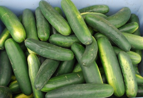 Découvrez 11 aliments qui vont faire monter votre libido en flèche ! Ça vaut le coup d'essayer, non ?