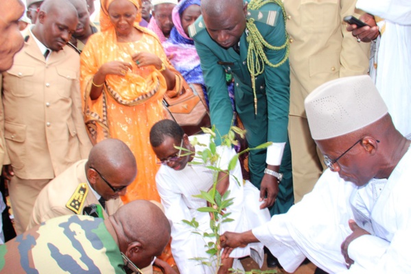 Journée nationale de l’arbre à Kanel : Daouda Dia invite la population à planter un arbre et à le suivre pour lui permettre de vivre