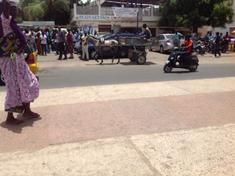 Les Charrettes prennent d’assaut les boulevards de la Capitale - Par Amadou F. Canar Diop
