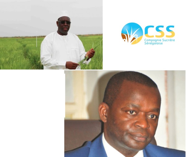 Levée du gel de l’importation du sucre : Macky prend le contre-pied d’Alioune Sarr