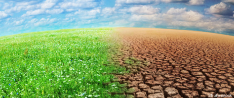 Une centaine d’élus locaux en conclave pour faire face aux changements climatiques