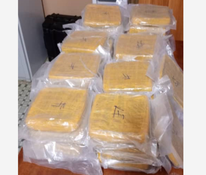 La lutte contre le trafic de médicaments et de drogues s’intensifie : La douane déjoue un coup et saisit une valeur de plus de 200 Millions FCFA La lutte contre le trafic de médicaments et de drogues s’intensifie : La douane déjoue un coup et saisit une valeur de plus de 200 Millions FCFA