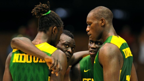 Les Lions du basketball ont reçu l’intégralité de leurs primes, selon la Fédération