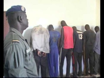 Sédhiou : La brigade de Samine arrête une bande de malfaiteurs