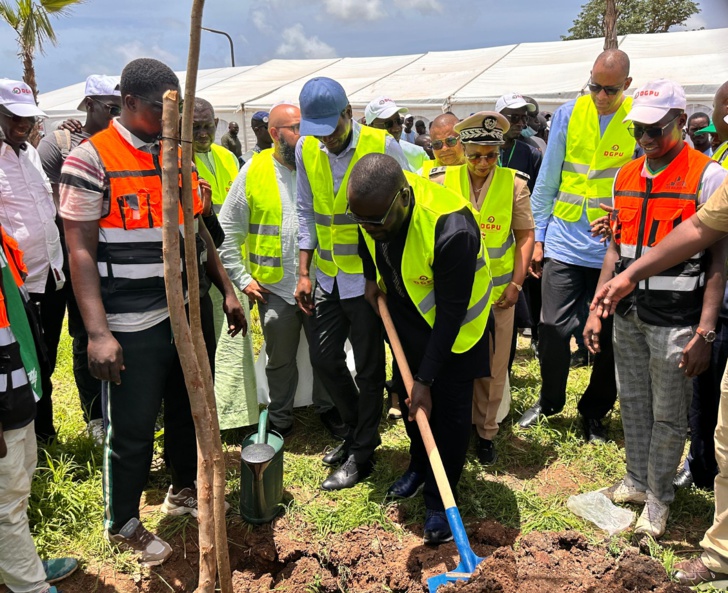 Photos/ Journée de verdissement de la DGPU : Plus de 3000 arbres plantés pour rendre le Pôle vert et durable