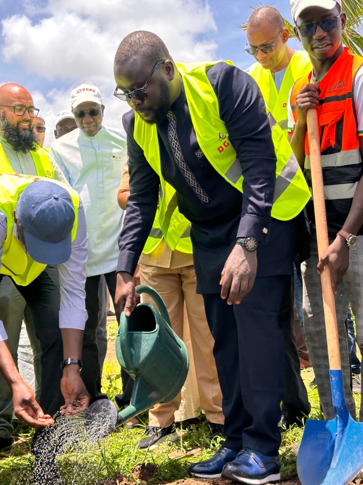 Photos/ Journée de verdissement de la DGPU : Plus de 3000 arbres plantés pour rendre le Pôle vert et durable