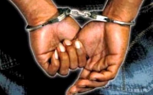 Louga : Un conseiller municipal arrêté pour vol de moutons et escroquerie