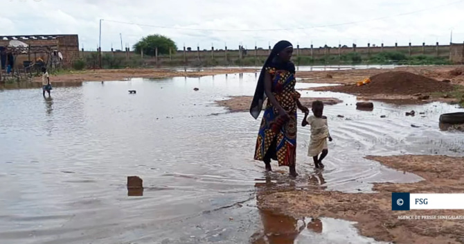 Matam : Des habitants de Gourel Défa évacuent de leurs maisons, à cause de la montée des eaux du fleuve
