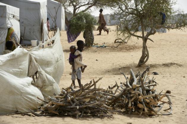 Boko Haram: un attentat-suicide frappe le Cameroun, après le Tchad