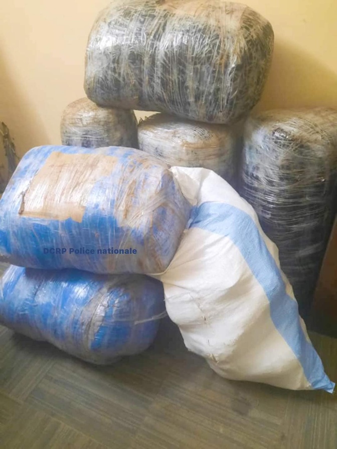 Arrestations et saisies massives de drogue à la Médina, à Rufisque et au Point E (Photos) Arrestations et saisies massives de drogue à la Médina, à Rufisque et au Point E (Photos)