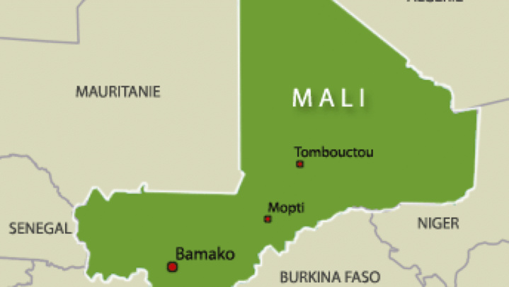 Mali: arrestation de douze jihadistes présumés dans le centre
