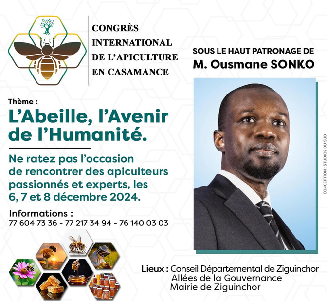 Économie verte : Le Congrès International de l’Apiculture en Casamance, s’ouvre ce vendredi, à Ziguinchor