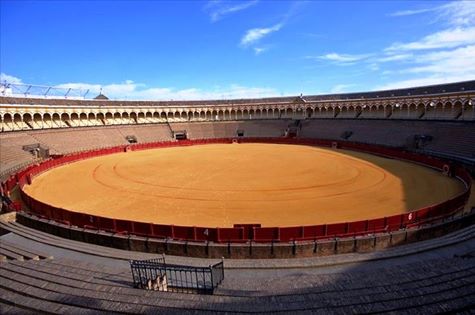 Les députés de "l'Arène nationale" - Par Séga Mané