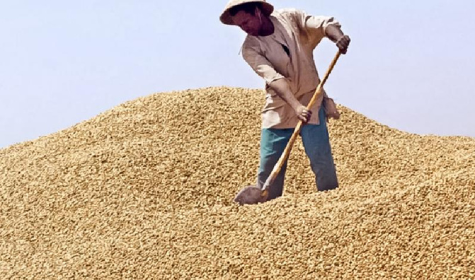 Campagne de commercialisation de l’arachide : Les éclairages d’Amadou Touba Niane, Commissaire aux Enquêtes économiques