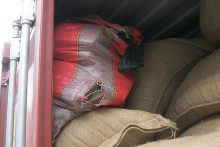 La gendarmerie met la main sur 300 kg de chanvre indien à Popenguine