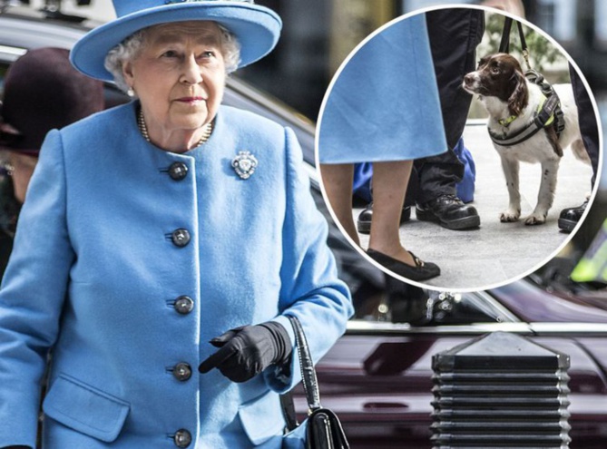 Photos - Le sac à main d’Eli­za­beth II contrôlé par un chien des douanes lors d’une visite offi­cielle
