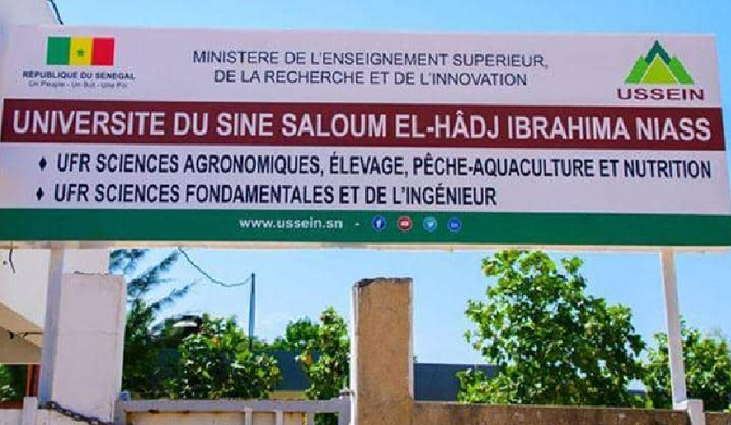 Fin de contrat ou licenciement abusif : 328 agents du CROUS-Sine Saloum, dans le viseur …