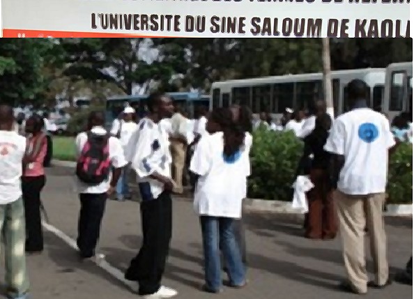 L’Université du Sine Saloum de Kaolack affûte ses armes : 25 familles de métiers identifiées pour les futurs étudiants