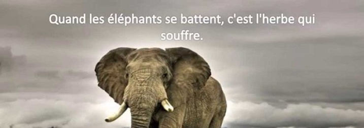 7 proverbes qui résument la vie africaine