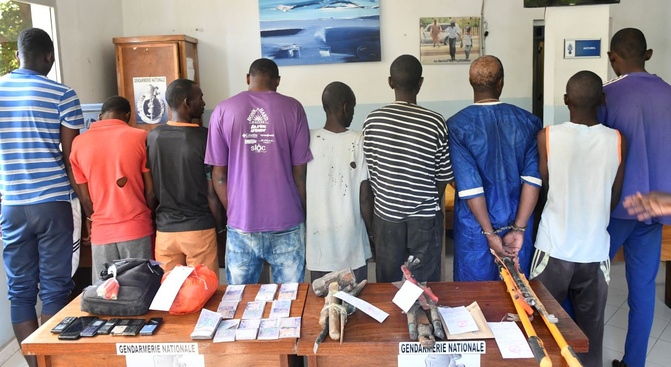 Coup de filets à Diourbel, Dakar, Louga, Fatick, Casamance... De grands caïds de la drogue arrêtés par la police