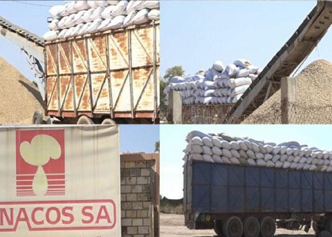 Campagne arachidière - Reprise des exportations : Les paysans dénoncent une tentative de masquer l’échec de la Sonacos, à court d’argent